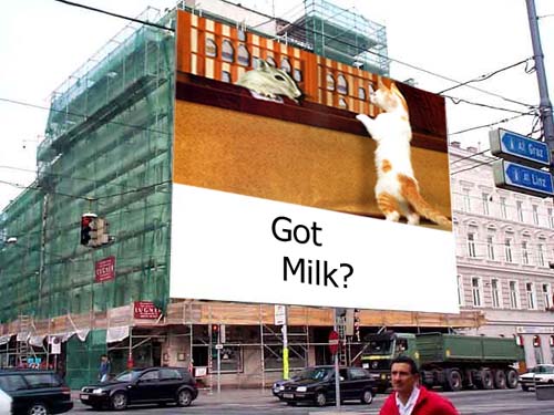 03020482_Guy_Gotmilkb