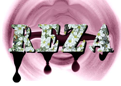 03029689_ALERGY