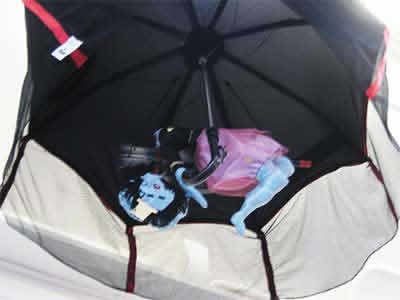 Safety and Security detail umbrella
